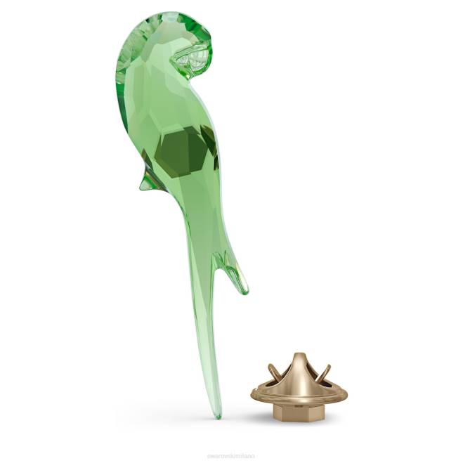 Swarovski DV4B1790 decorazioni verde la giungla batte il magnete del pappagallo