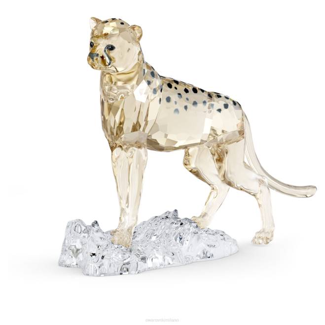 Swarovski DV4B1677 decorazioni collezione eleganza dell'africa scs cheetah baby jabari