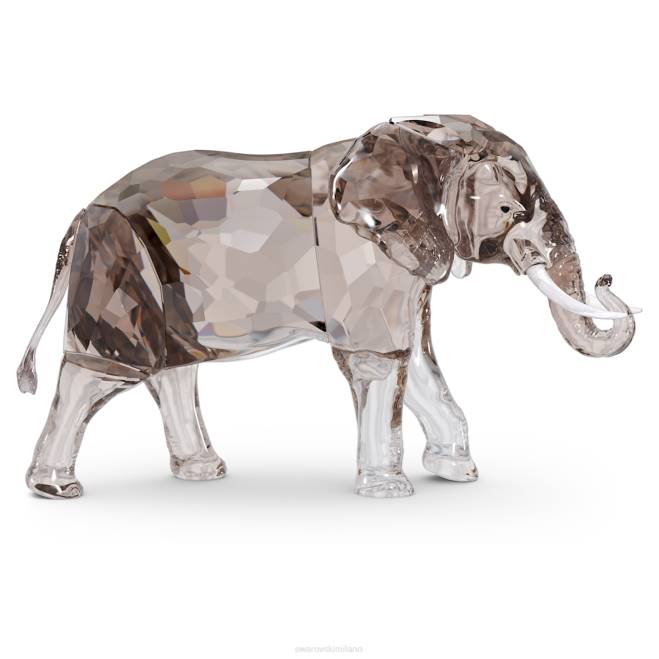 Swarovski DV4B1686 decorazioni collezione eleganza dell'africa scs edizione giubilare 2022 elefante zena