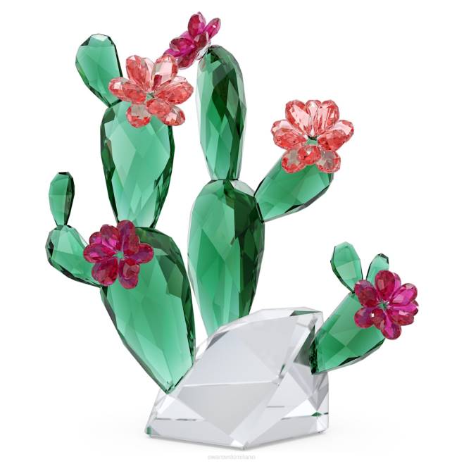 Swarovski DV4B1613 decorazioni collezione fiori di cristallo cactus rosa del deserto