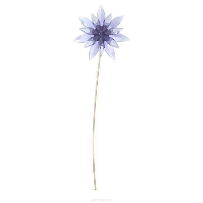 Swarovski DV4B1616 decorazioni collezione Garden Tales Nigella edizione online
