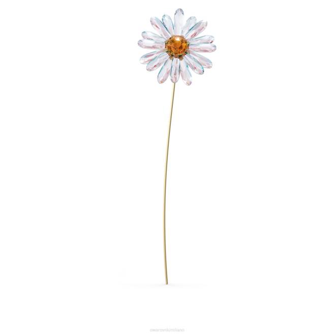 Swarovski DV4B1623 decorazioni collezione margherita delle storie del giardino