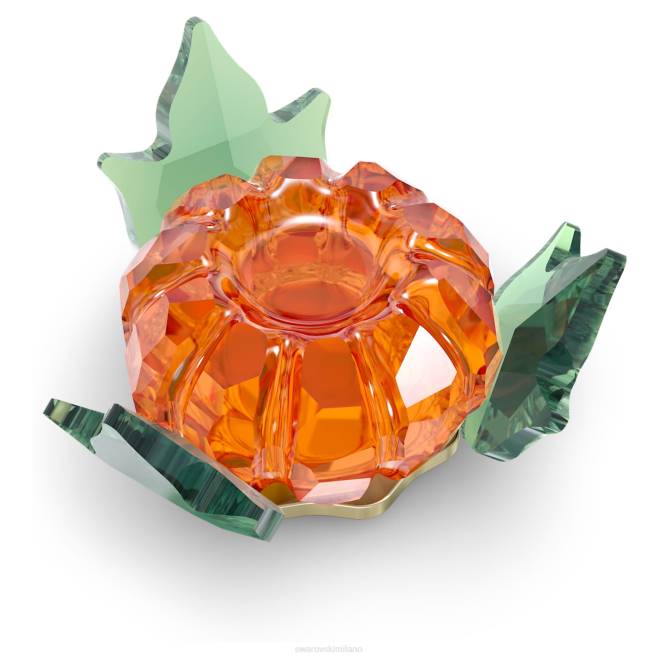 Swarovski DV4B1624 decorazioni collezione Magnete zucca di Garden Tales