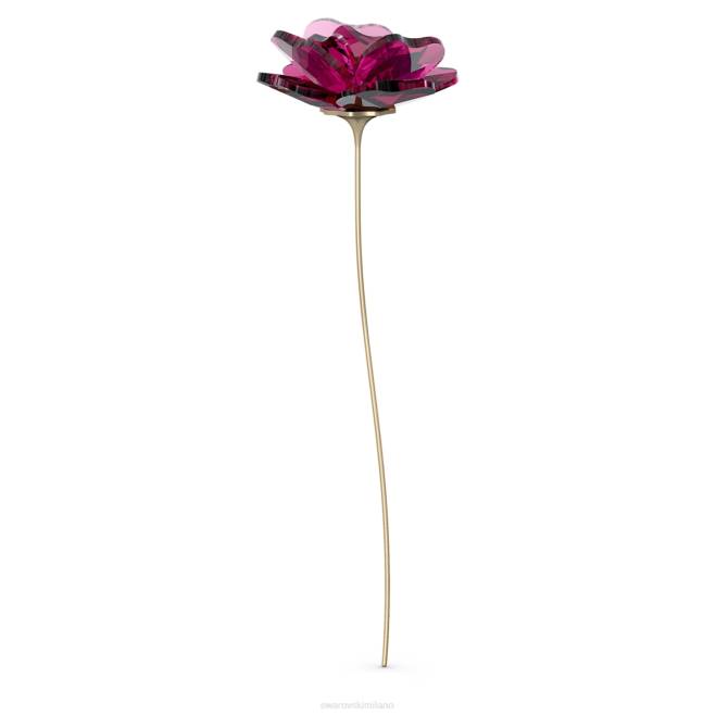 Swarovski DV4B1627 decorazioni collezione le storie del giardino sono aumentate