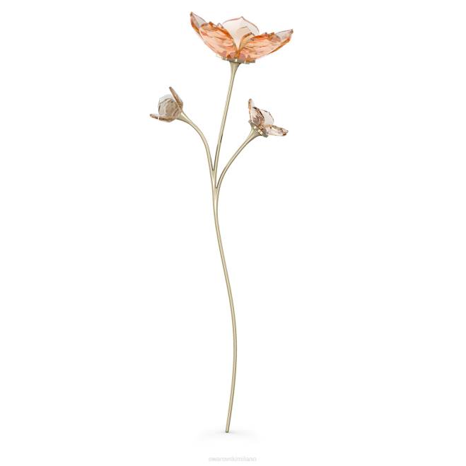 Swarovski DV4B1629 decorazioni collezione magnolia da giardino