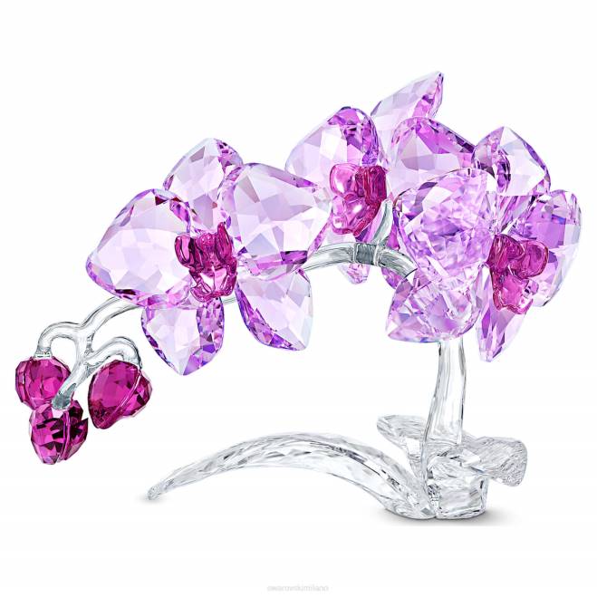 Swarovski DV4B1630 decorazioni collezione orchidea di fiori di cristallo