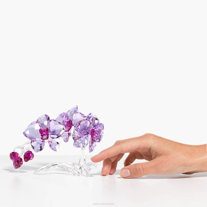 Swarovski DV4B1630 decorazioni collezione orchidea di fiori di cristallo