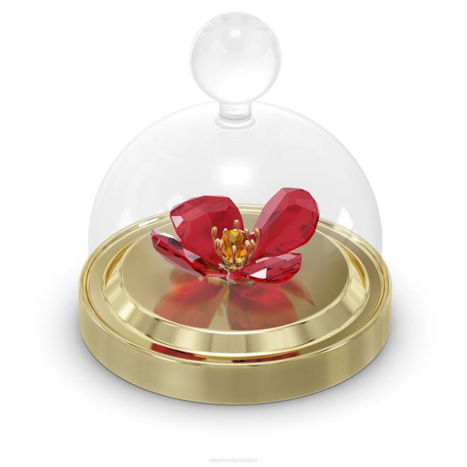 Swarovski DV4B1641 decorazioni collezione Garden Tales campana di vetro con papavero rosso