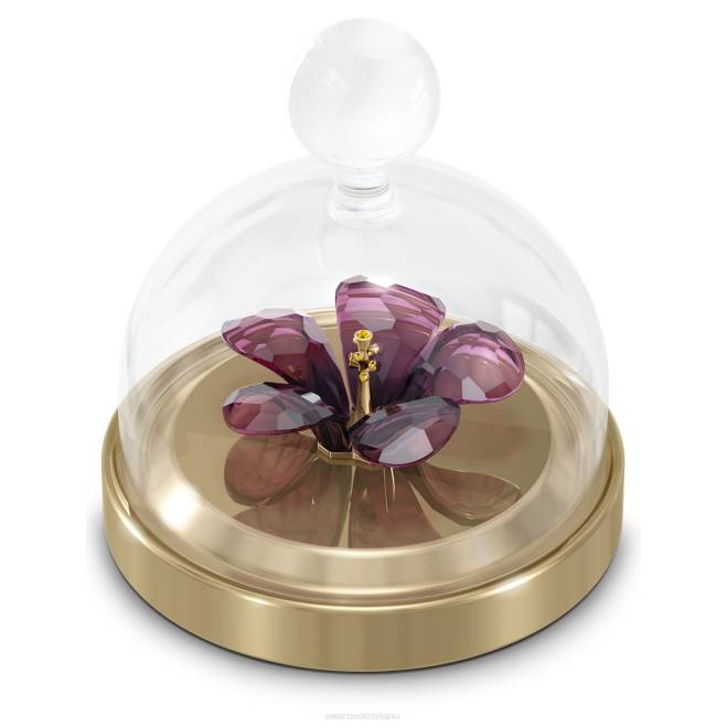 Swarovski DV4B1642 decorazioni collezione Campana di ibisco di Garden Tales