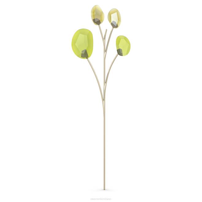 Swarovski DV4B1645 decorazioni collezione eucalipto da giardino