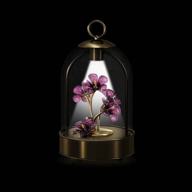 Swarovski DV4B1648 decorazioni collezione lanterna a led ibisco da giardino racconti