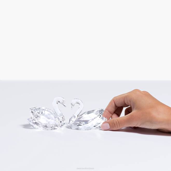 Swarovski DV4B1656 decorazioni collezione coppia di cigni