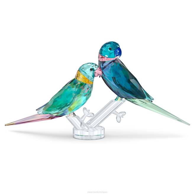 Swarovski DV4B1663 decorazioni collezione La giungla batte la coppia di parrocchetti piffero e piffero