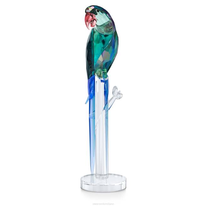 Swarovski DV4B1665 decorazioni collezione la giungla batte il banjo dell'ara verde