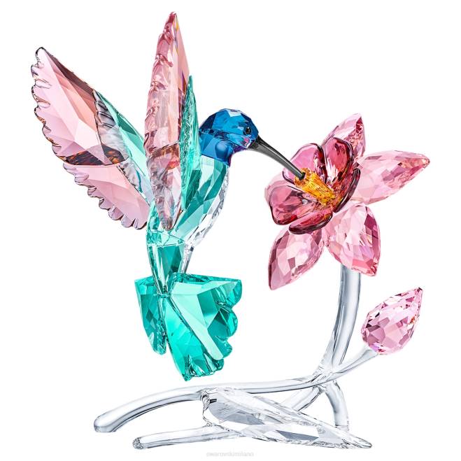 Swarovski DV4B1669 decorazioni collezione colibrì