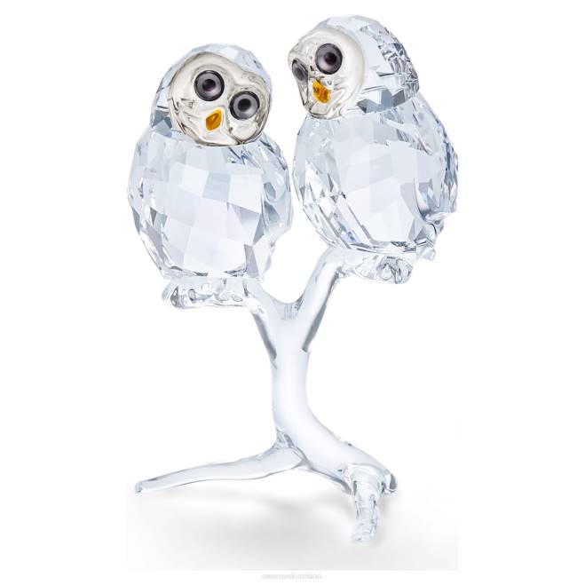 Swarovski DV4B1671 decorazioni collezione coppia di gufi
