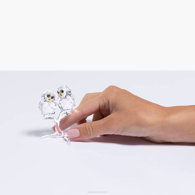 Swarovski DV4B1671 decorazioni collezione coppia di gufi