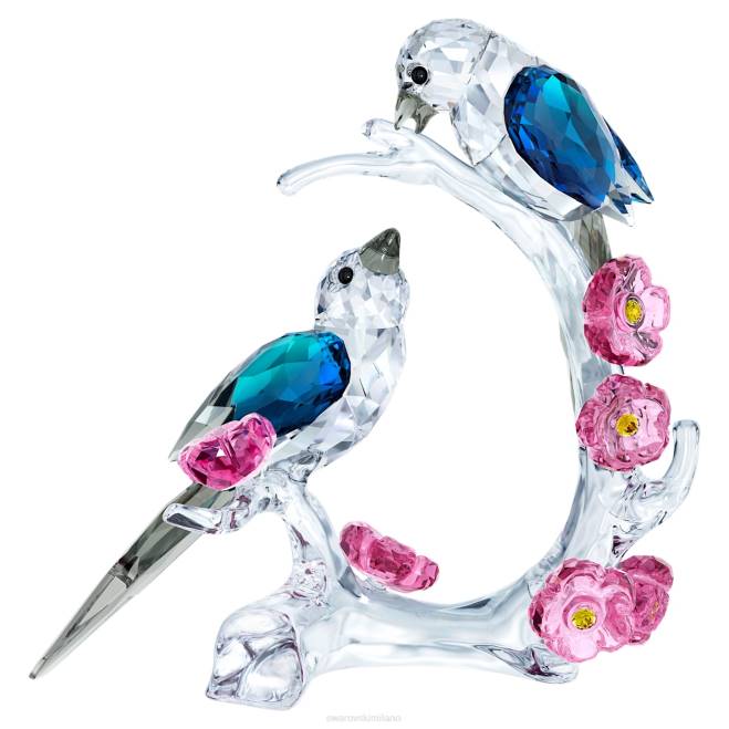 Swarovski DV4B1675 decorazioni collezione gazze