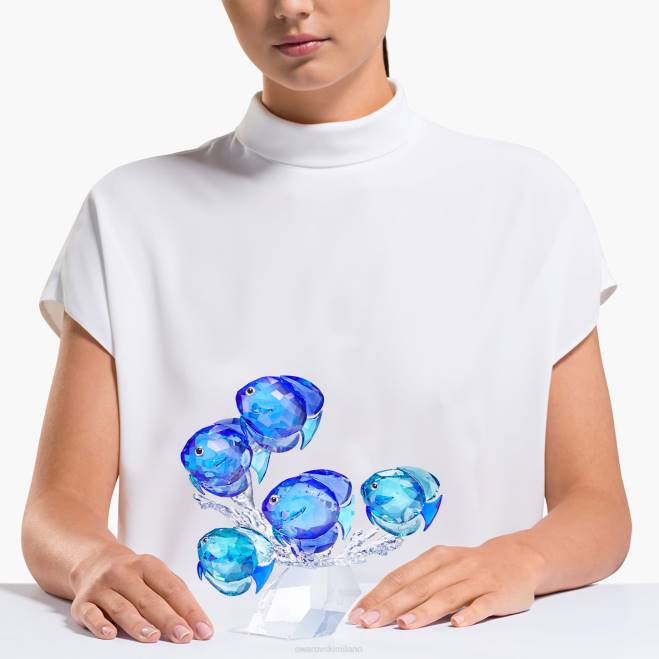 Swarovski DV4B1676 decorazioni collezione scuola di pesca