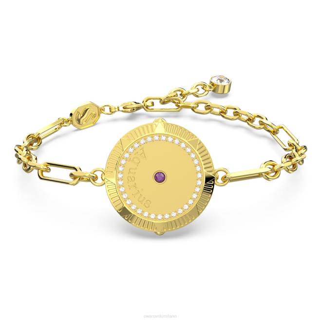 Swarovski DV4B449 gioielleria acquario, tono oro, placcato color oro braccialetto dello zodiaco