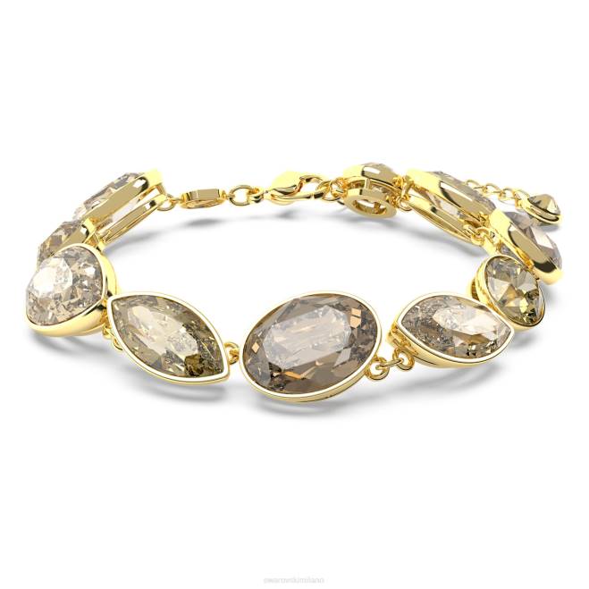 Swarovski DV4B580 gioielleria tagli misti, marrone, placcato oro braccialetto dell'eleganza dell'africa