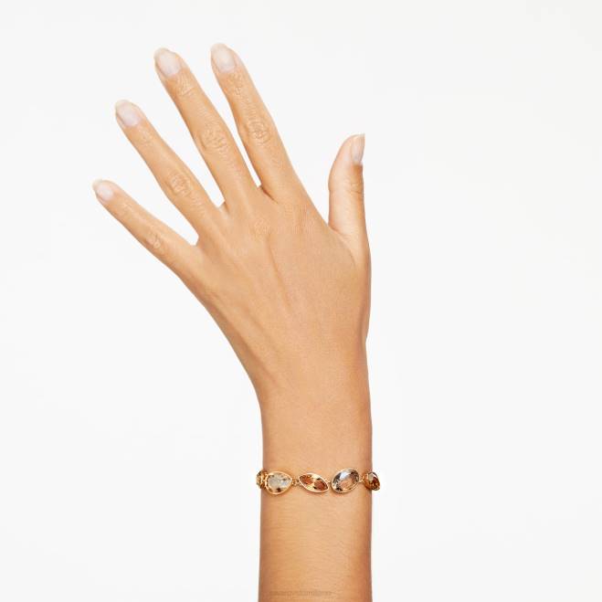 Swarovski DV4B580 gioielleria tagli misti, marrone, placcato oro braccialetto dell'eleganza dell'africa
