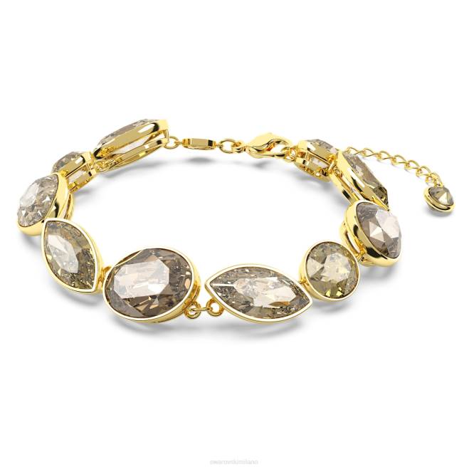 Swarovski DV4B580 gioielleria tagli misti, marrone, placcato oro braccialetto dell'eleganza dell'africa
